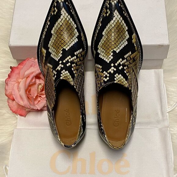 Chloe Sunny Brown Leather Embossed - Picture 4 of 12